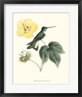 Hummingbird & Bloom I Fine Art Print