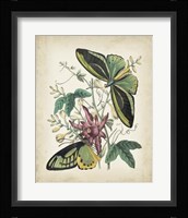 Fanciful Flight II Fine Art Print