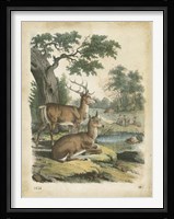 Nature's Gathering IV Fine Art Print