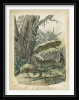 Nature's Gathering V Fine Art Print