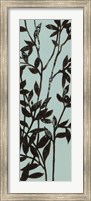 Ebony Eucalyptus on Blue II Fine Art Print
