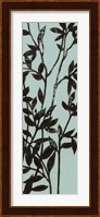 Ebony Eucalyptus on Blue II Fine Art Print