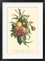 Plentiful Fruits I Fine Art Print