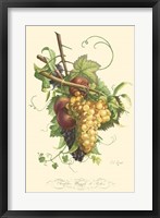 Plentiful Fruits II Fine Art Print