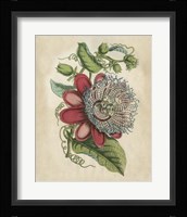 Tropical Beauty I Fine Art Print