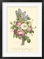 Plentiful Bouquet III Fine Art Print