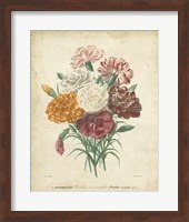 Victorian Bouquet II Fine Art Print