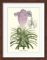 Lavender Orchids III Fine Art Print