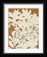 Leaves from Nature II Fine Art Print