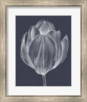 Monochrome Tulip I Fine Art Print