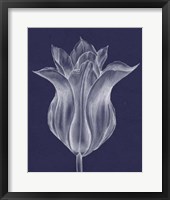 Monochrome Tulip III Fine Art Print