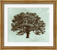 Spa Tree I Fine Art Print