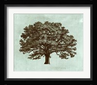 Spa Tree I Fine Art Print