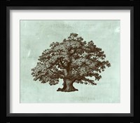 Spa Tree III Fine Art Print