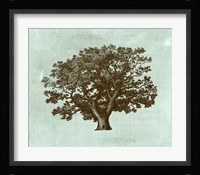 Spa Tree IV Fine Art Print