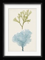 Aqua & Citron Coral II Fine Art Print