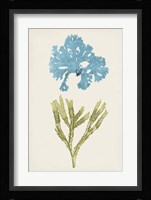 Aqua & Citron Coral III Fine Art Print