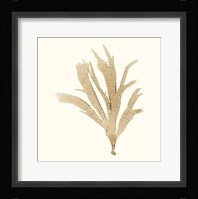 Seaweed Collection IV Fine Art Print