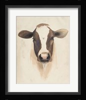 Watercolor Animal Study VII Framed Print