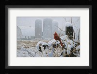 Flaming Glory Fine Art Print