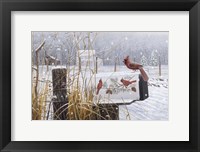 Country Red Fine Art Print