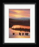 Sanctuary Fine Art Print