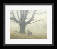 Winter Mist Fine Art Print