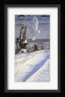 Great White Hunter Fine Art Print