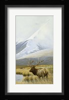 Autumn Uprights, Elk Fine Art Print