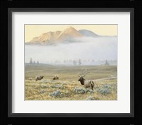 Autumn Elk Fine Art Print