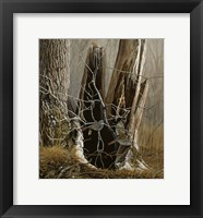 White Throated Sparrows Fine Art Print