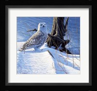 Winter Snow Fine Art Print