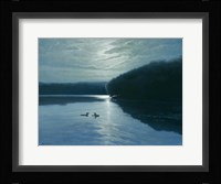 Moonlight Loons Fine Art Print
