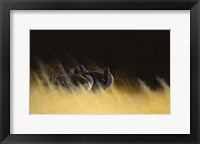 Morning Solitude Fine Art Print