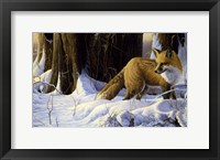 Hide And Seek Fine Art Print