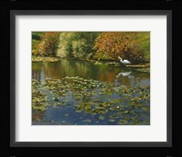 Plein Air Egret 1 Fine Art Print