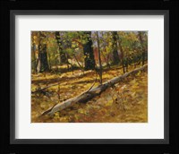 Autumn Collage Fine Art Print