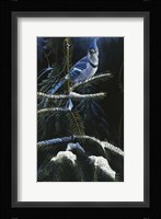 Royal Dress Fine Art Print