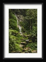 ChiangMai 1 Fine Art Print