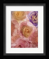 Rosas Compo 2-2 Fine Art Print