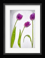 Flores Congeladas 2 Fine Art Print