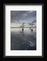Trees at Lake 3 Fine Art Print