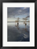 Trees at Lake 3 Fine Art Print