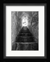 Freedom Fine Art Print