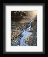 Flow Fine Art Print