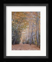 Walking Fine Art Print