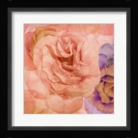 Rosa Cuadrada Fine Art Print
