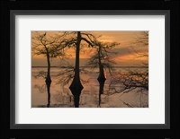 Three Trees on Water Fine Art Print