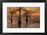 Three Trees on Water Fine Art Print