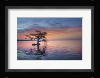 Alone at Sunrise Fine Art Print